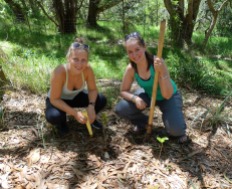 Caroline and Samantha planting Koa seedlings